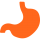 stomach